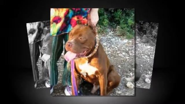 волчье солнце смотреть онлайн