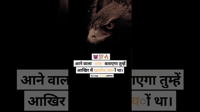 #eagle #birds #bird #nature#wildlife #eagles #birdsofinstagram #baldeagle#birdsofprey #youtubeshort