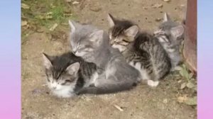 Колыбельная на немецком языке