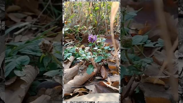 Где искать вдохновение?