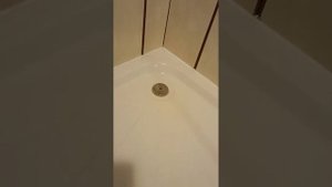 ч.2 результат замены силикона в душевой кабине.