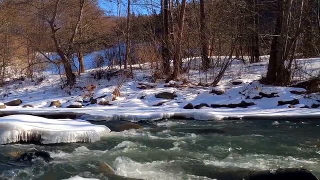 (36) О стране культуры. Так говорил Заратустра. Часть вторая. смотреть онлайн