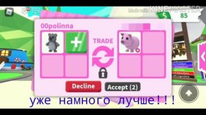 что дают за коалу в адопт ми 🐨