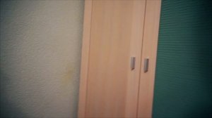 ПОНИ Твайлайт СПАРКЛ и Рэйнбоу ДЭШ в гостях играем в прятки в реальной жизни 💙 PONY IN REAL LIFE