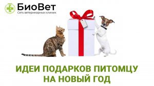 Что подарить питомцу на Новый год