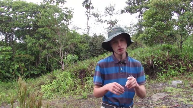 Two Queens In One Hive смотреть онлайн