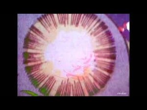 Emerson, Lake & Palmer. /Pictures at an Exhibition/ The Curse of Baba Yaga & Hut of B.Y. / 1971.