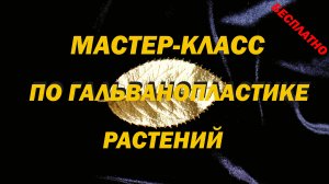 Мастер класс по гальванопластике растений. Уникальная технология без лака, графита и пудры.