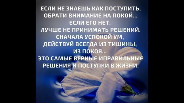 Мудрые цитаты . Музыка Эдгар Туниянц Созерцание чуда . смотреть онлайн