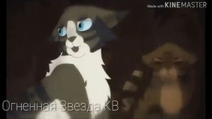 Коты воители клип "Одиночество"