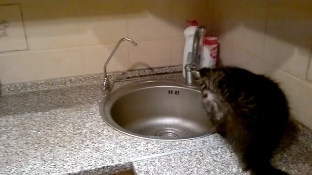 Сёмка играет с водой смотреть онлайн