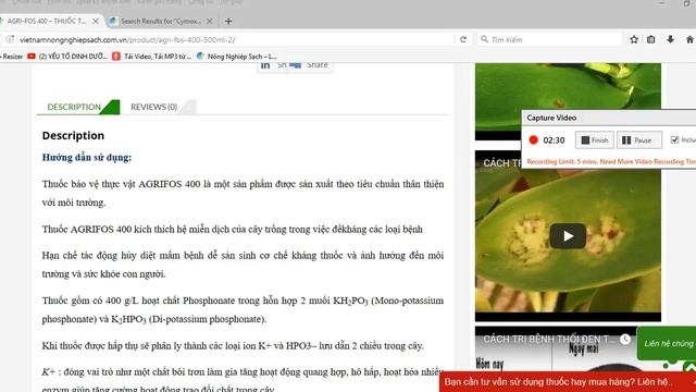 AGRIFOS 400 - THUỐC ĐẶC TRỊ BỆNH NỨT THÂN XÌ MỦ CHO CÂY TRỒNG смотреть онлайн