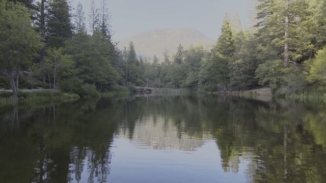 4K_ПРИРОДА_HDR Dolby Vision 4K Video 