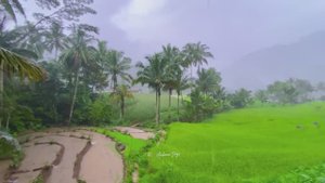 ПРОЛИВНОЙ ДОЖДЬ В ТИХОЙ ИНДОНЕЗИЙСКОЙ ДЕРЕВЕНСКОЙ ЖИЗНИ В ДЕКАБРЕ | ЗВУКИ ПРОЛИВНОГО ДОЖДЯ ДЛЯ СНА