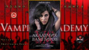 Охотники и жертвы. Мид Райчел. Аудиокнига (Читает Ефросинина Ирина)