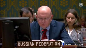 Василий Небензя. Выступление на заседании СБ ООН по ситуации в Сирии 3 декабря 2024 года