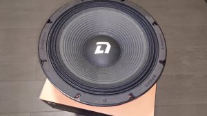 Phoenix Sport 300 DL Audio эстрадный сабвуфер #vik_sound #dl_audio_official #автозвук #bass