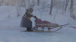 Собаки и каюры рвутся в бой! Впереди 1 100 км камчатской трассы: дневник Берингии 2023