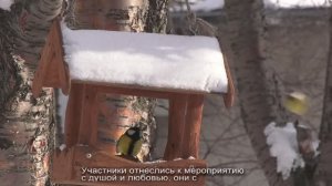 День синичек