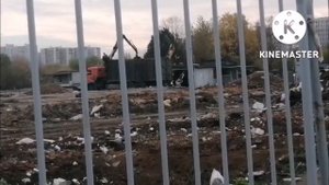 нашёл 4 оригинальных колпака