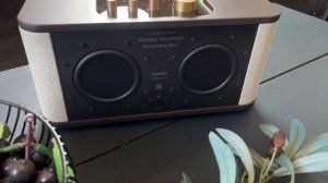 RAINBO TECHNICS Satisfaction Mini brown - Hi-Fi домашняя компактная колонка