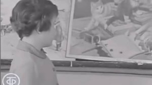 Прием в 1 класс. 1969 год