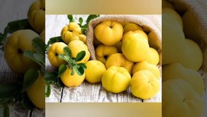 Tushda BEHİ ko'rsa nima bo'ladi❓