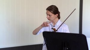 Агапова А.Б. Особенности формирования исполнительского аппарата скрипача (альтиста)