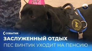 Viliam_0312_suj_sait