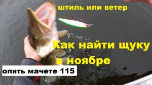 Где клюет щука поздней осенью. От мелочи до четверки.