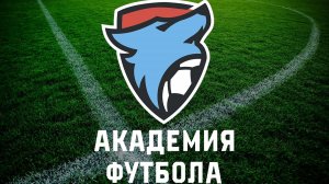 Академия футбола Тамбов 2015 г.р. турнир ДФК Колизей январь 2024 г.