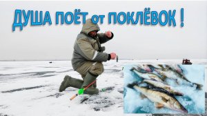 Река Иж . Открылся по Бершу