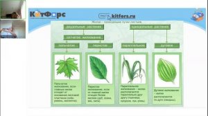 6 класс Биология 04 декабря