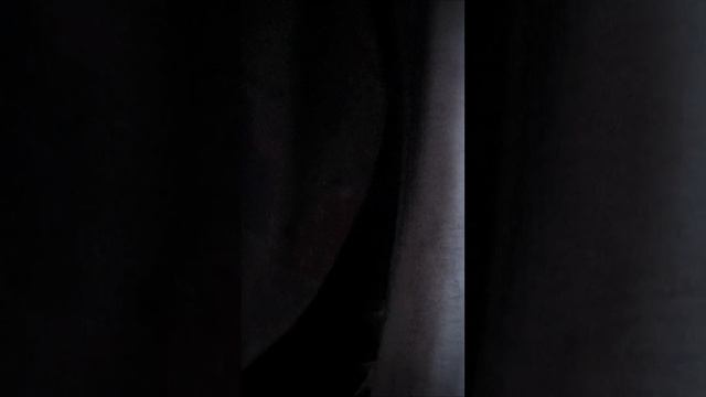 Отшельник в лесу. Пешком из Казахстана в Россию, что заставило его вернуться?