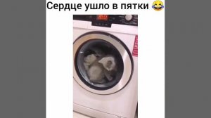 ХихиЧпок юмор