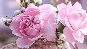 Поздравление с днем рождения подруге открытки - С днем рождения Подруга