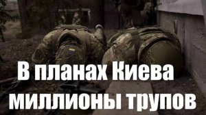«Вашингтон в истерике». Кто сорвал военные планы Киева