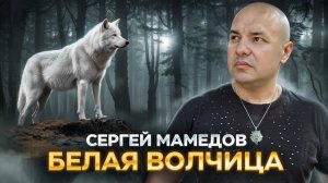 Белая Волчица