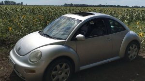 VW beetle