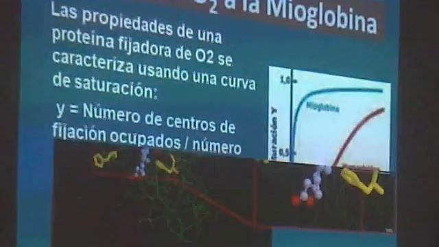 PROTEINAS (7MA CLASE)(3) смотреть онлайн