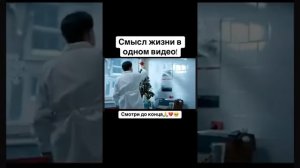 Смысл жизни