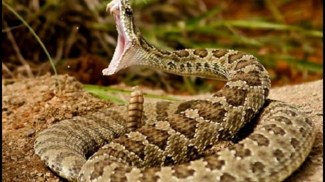 Адәм һәм Мәсих Гайсә. Тәүрат һәм Инҗил буенча татарча смотреть онлайн