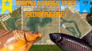 ПРОВЕРКА ФАРМОВЫХ ТОЧЕК ❗ РУССКАЯ РЫБАЛКА 4 ❗ RUSSIAN FISHING 4