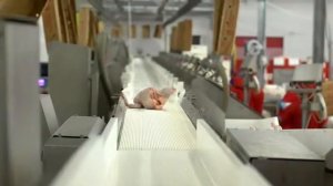 "Новосибирская птицефабрика" - фильм о производстве