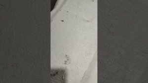 установка акриловой ванны своими руками