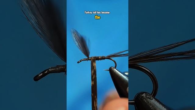 Borcher’s Special Fly! #whitingfarms #naturesspiritflytying #semperfli #fly #flying