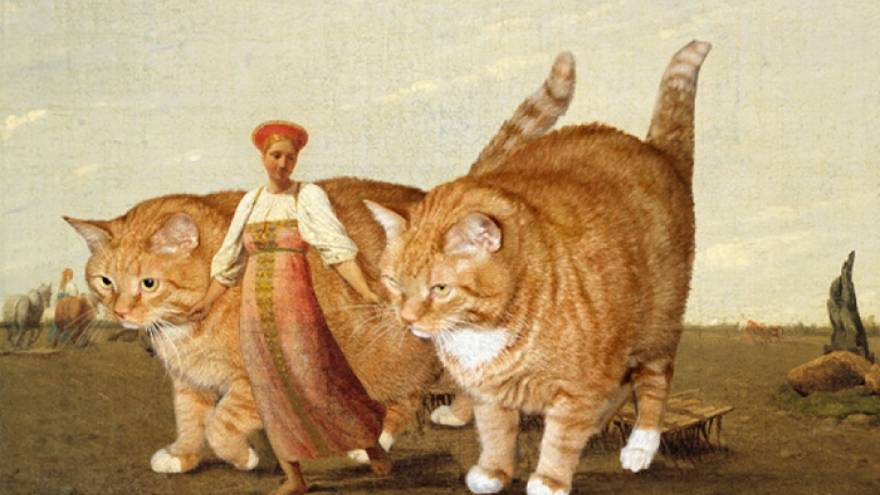 ИСТОРИЯ