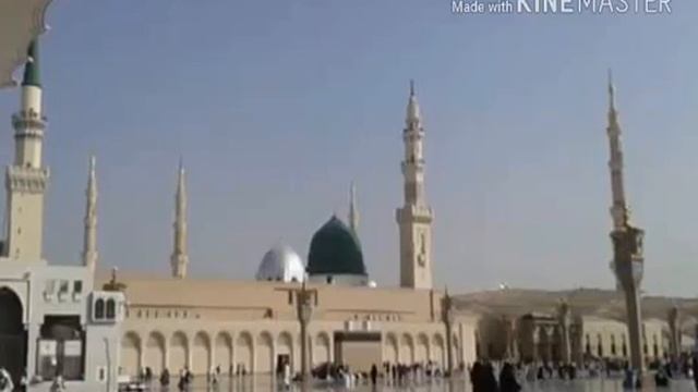 مديح سيد حسن السيد علي في دار المرحوم عبدالله الأحمد الفرحان смотреть онлайн