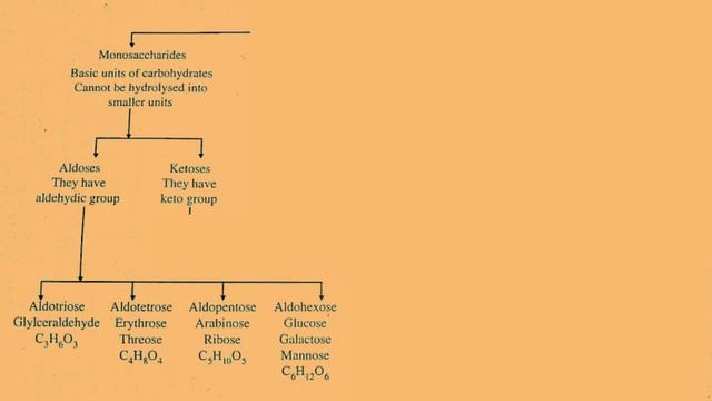 #Biomolecules