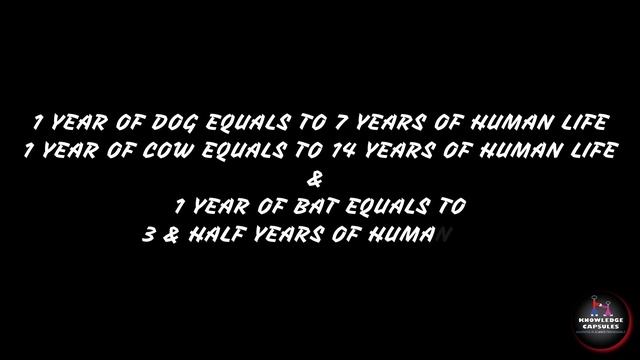 CORONAVIRUS PART 3 | BATS ARE THE VILLAIN OR OUR HERO "BATMAN"? | WATCH TO KNOW THE SCIENTIFIC LOGI смотреть онлайн